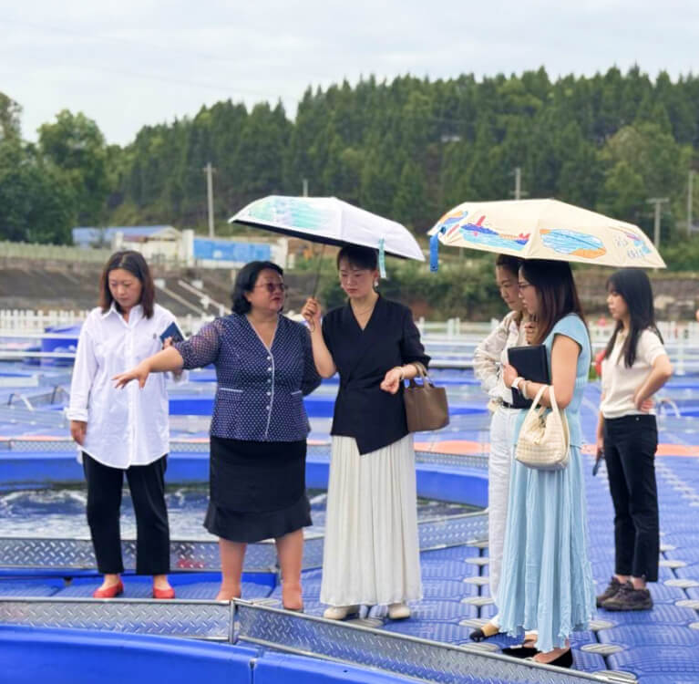 增长建设站
