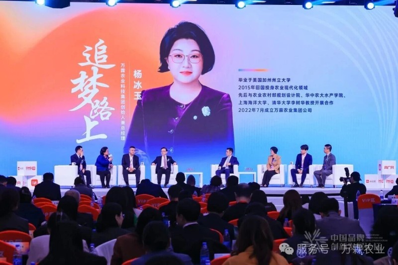 增长建设站
