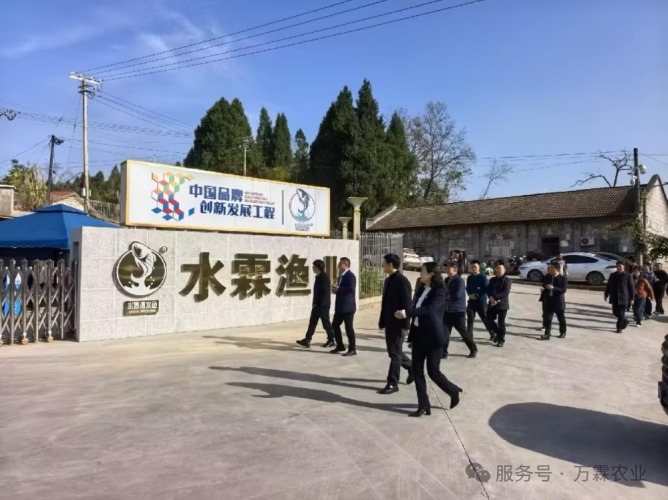 增长建设站