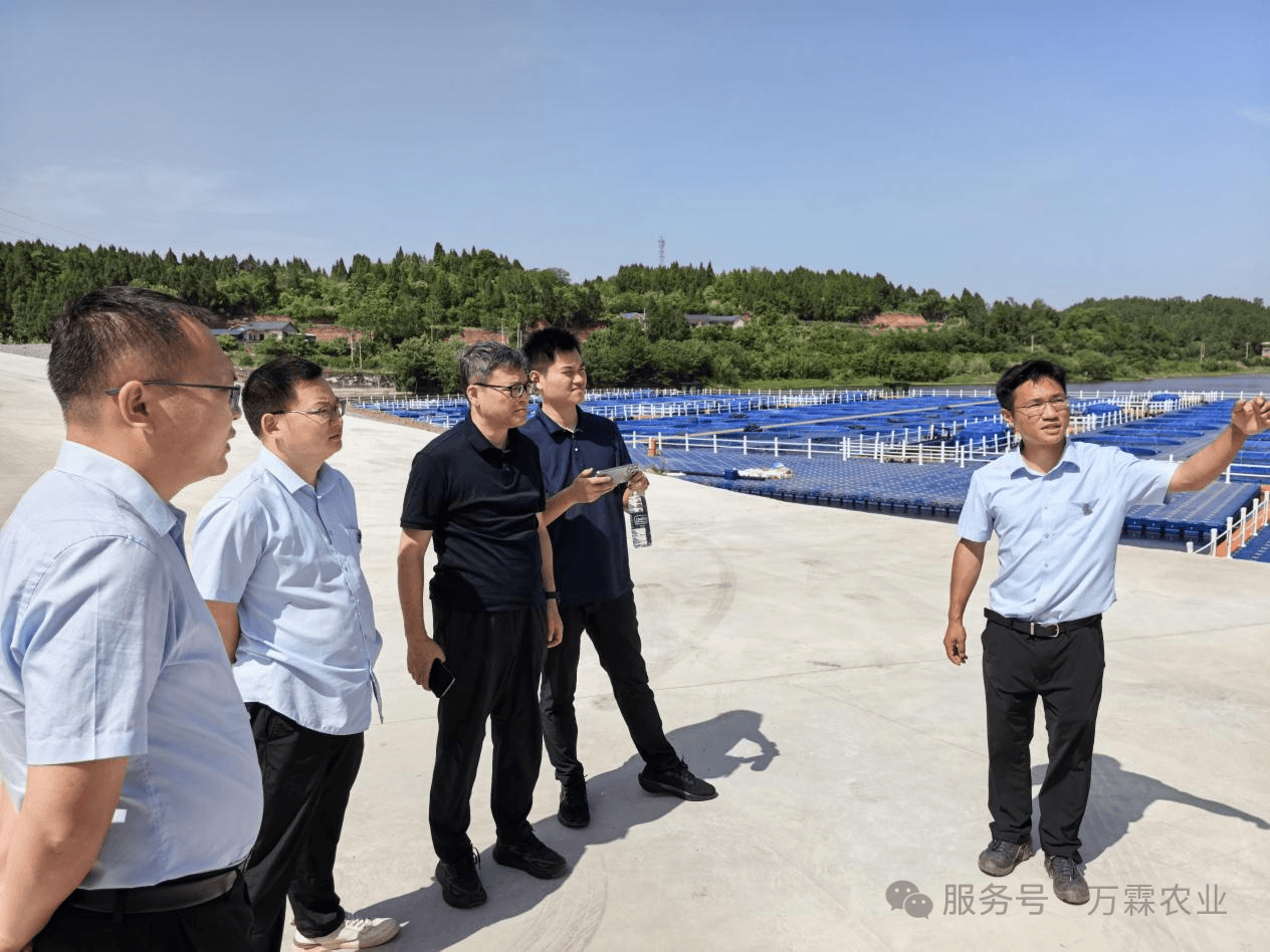 增长建设站