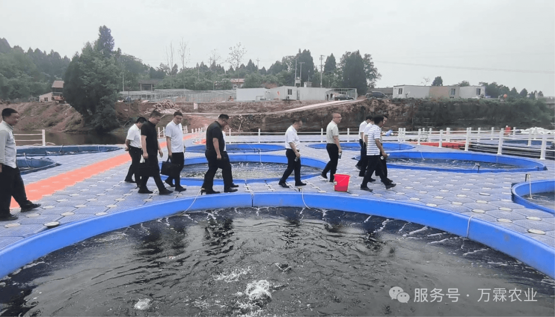 增长建设站