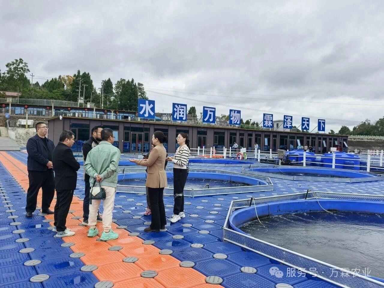增长建设站