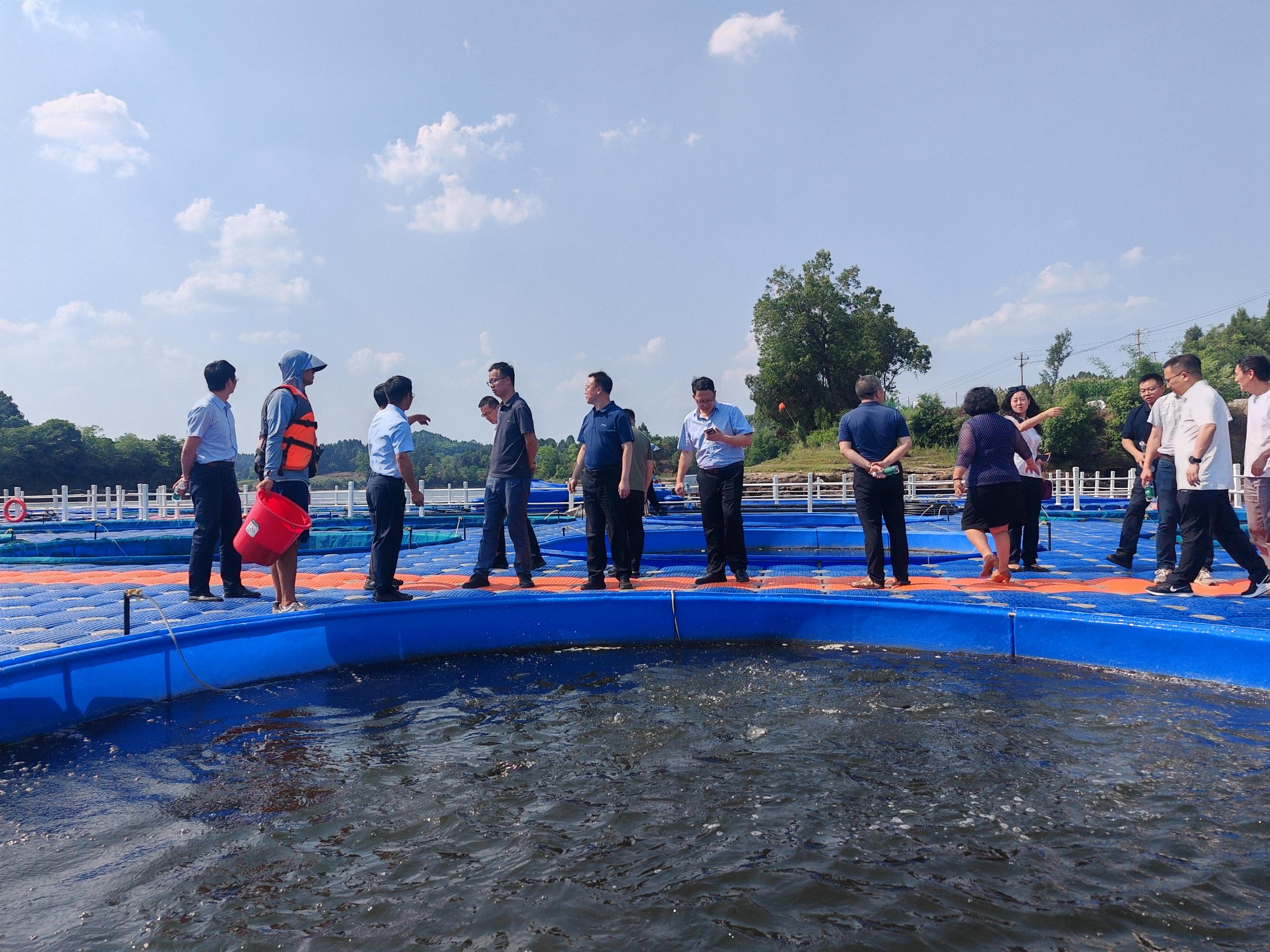 增长建设站