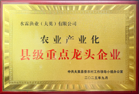 县级龙头重点企业