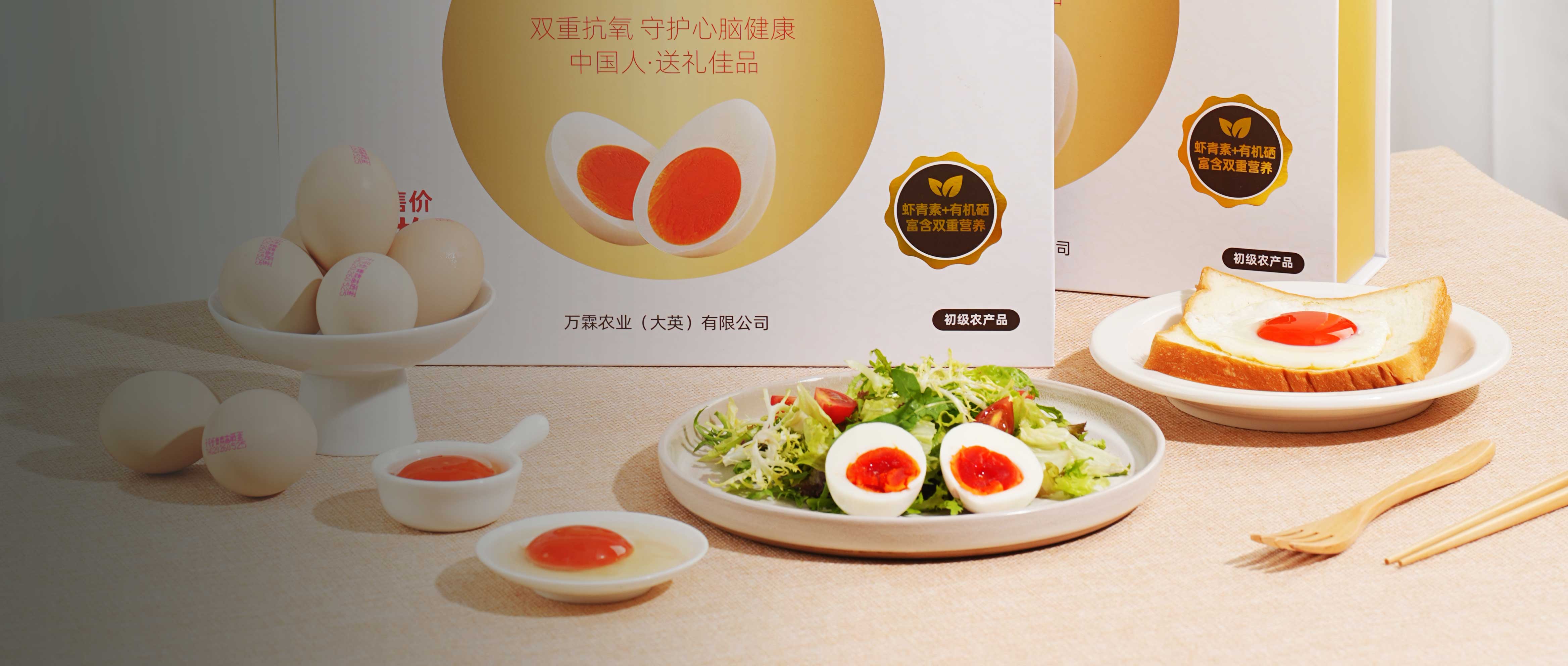 增长建设站